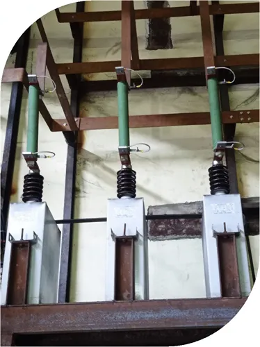 Surge Absorbing / Protective Capacitor
